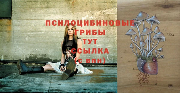 стаф Краснослободск