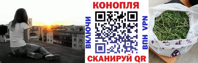 купить наркоту  Никольское  Конопля семена 